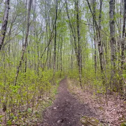 Narrow River Preserve - Wakefield-Peacedale