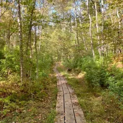 Narrow River Preserve - Wakefield-Peacedale