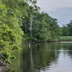 Narrow River Preserve - Wakefield-Peacedale