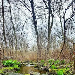Narrow River Preserve - Wakefield-Peacedale