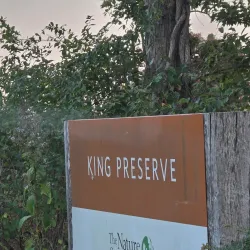 Narrow River Preserve - Wakefield-Peacedale