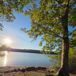Narrow River Preserve - Wakefield-Peacedale