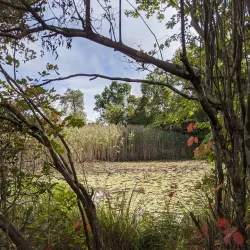 Ninigret National Wildlife Refuge - Wakefield-Peacedale
