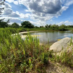 Ninigret National Wildlife Refuge - Wakefield-Peacedale
