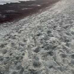 South Kingstown Recreation Complex - Wakefield-Peacedale