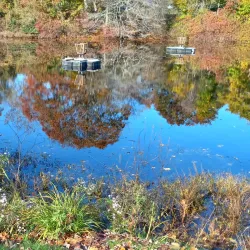 Wakefield Village - Wakefield-Peacedale