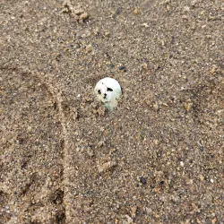 Conimicut Point Park - Warwick