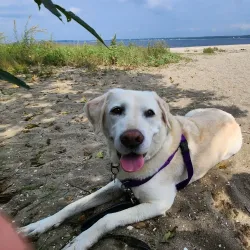 Conimicut Point Park - Warwick