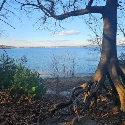 Goddard Memorial State Park - Warwick