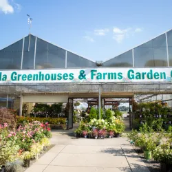 Godfrey Farm - Warwick