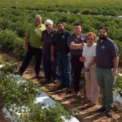 Godfrey Farm - Warwick