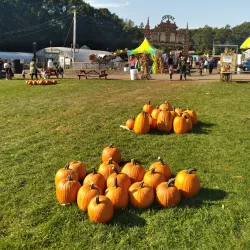 Godfrey Farm - Warwick