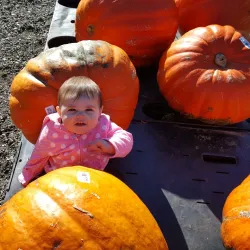 Godfrey Farm - Warwick