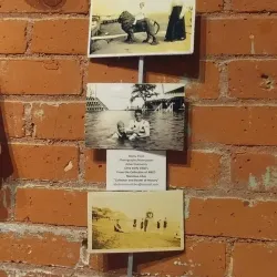 Warwick Center for the Arts - Warwick