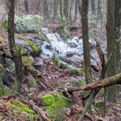 Arcadia Management Area - West Greenwich