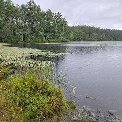 Arcadia Management Area - West Greenwich