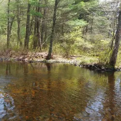 Arcadia Management Area - West Greenwich