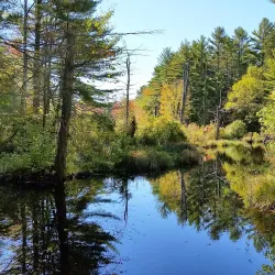 Arcadia Management Area - West Greenwich