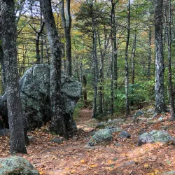 Big River Management Area - West Greenwich