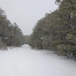 Big River Management Area - West Greenwich