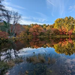 Big River Management Area - West Greenwich