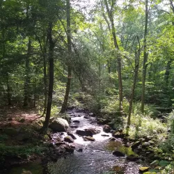 Big River Management Area - West Greenwich