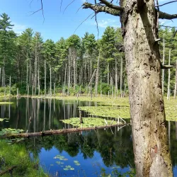 Big River Management Area - West Greenwich
