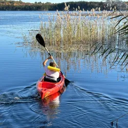 Chapman Pond - West Greenwich