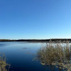 Chapman Pond - West Greenwich