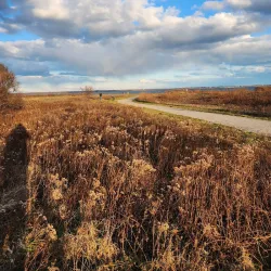 Maskerchugg River Wildlife Refuge - West Greenwich