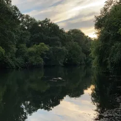 Pawtuxet River Trail - West Greenwich