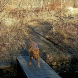 Pawtuxet River Trail - West Greenwich