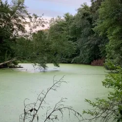 Pawtuxet River Trail - West Greenwich