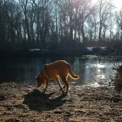 Pawtuxet River Trail - West Greenwich