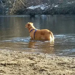 Pawtuxet River Trail - West Greenwich