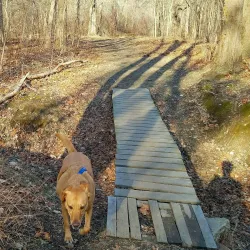 Pawtuxet River Trail - West Greenwich