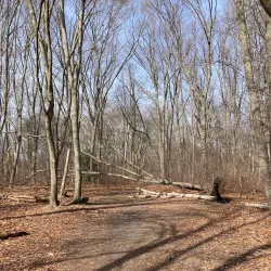Pawtuxet River Trail - West Greenwich