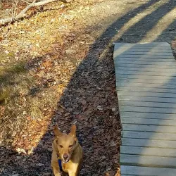 Pawtuxet River Trail - West Greenwich