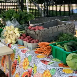 West Greenwich Community Farm - West Greenwich