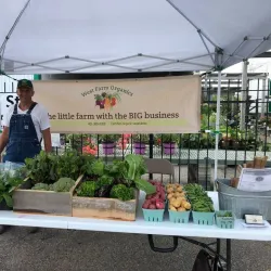 West Greenwich Community Farm - West Greenwich