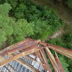 West Greenwich Town Forest - West Greenwich