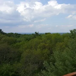 West Greenwich Town Forest - West Greenwich