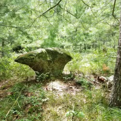 West Greenwich Town Forest - West Greenwich