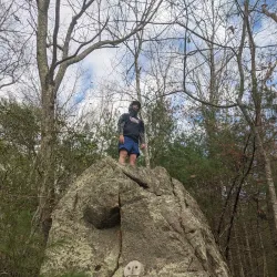 West Greenwich Town Forest - West Greenwich