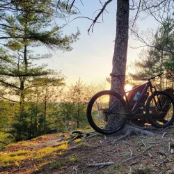 West Greenwich Town Forest - West Greenwich