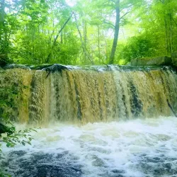 Arcadia Management Area - West Warwick