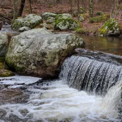 Arcadia Management Area - West Warwick