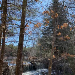 Arcadia Management Area - West Warwick