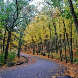 Lincoln Woods State Park (nearby) - West Warwick
