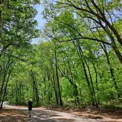 Lincoln Woods State Park (nearby) - West Warwick
